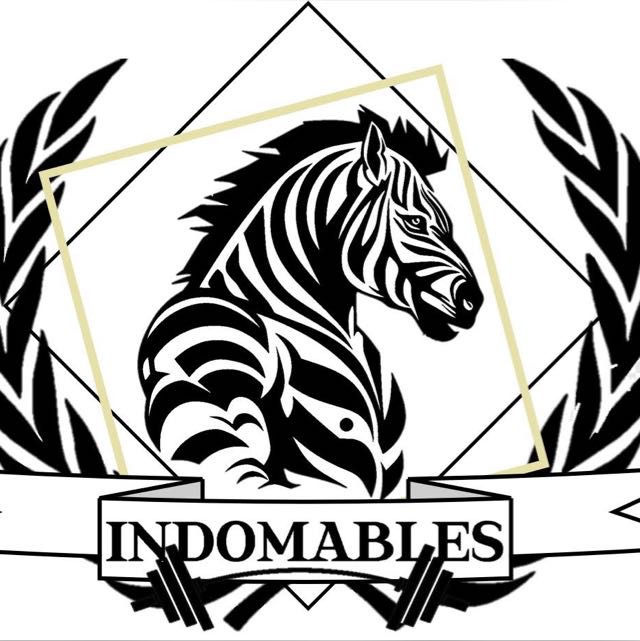 Los Indomables